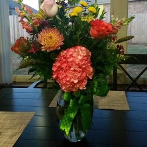 Meet your Posher, Jenny